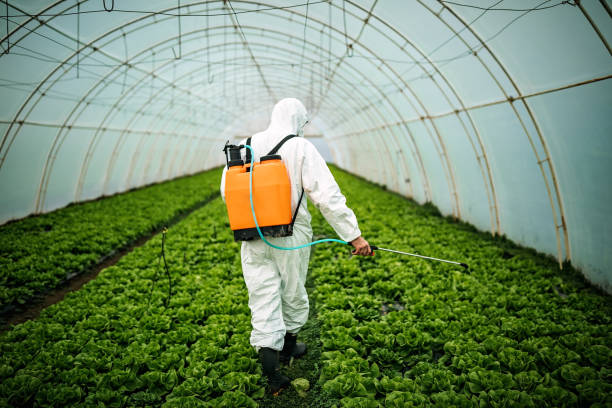 Best Best Pest Control Companies  in Gladstone, OR
